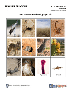 Part I: Desert Food Web, page 1 of 2