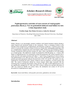 Nephroprotective activities of root extracts of Andrographis paniculata