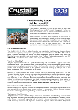 Coral Bleaching Report