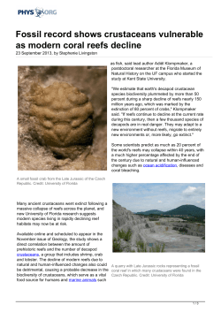 Fossil record shows crustaceans vulnerable as modern