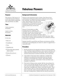 Fabulous Flowers - Marin Master Gardeners