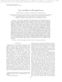Low mortality in tall tropical trees - VTechWorks