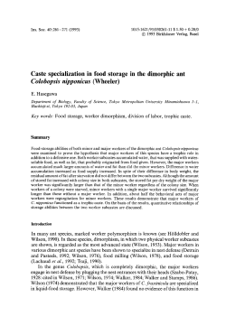 Caste specialization in food storage in the dimorphic ant <Emphasis