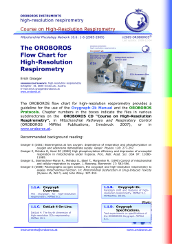 The OROBOROS Flow Chart for High