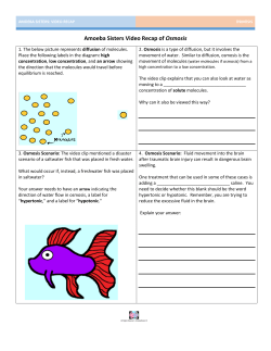 Amoeba sisters: Video Recap