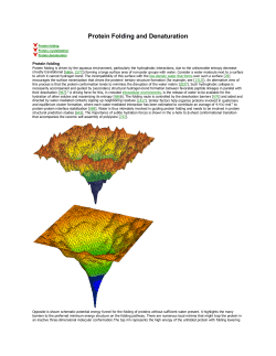Protein Folding and Denaturation
