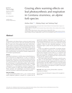 grazing alters warming effects on leaf photosynthesis and