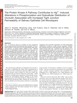 The Protein Kinase A Pathway Contributes to Hg