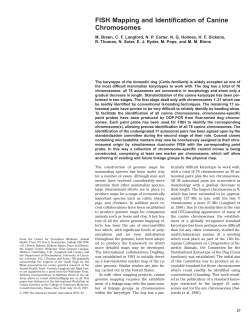 FISH Mapping and Identification of Canine Chromosomes