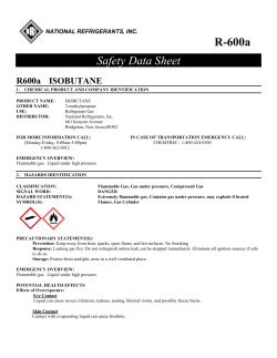 R-600a Safety Data Sheet