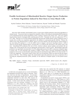 Possible Involvement of Mitochondrial Reactive Oxygen Species