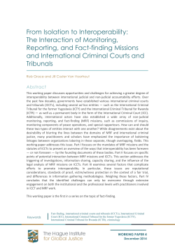 PDF - The Hague Institute for Global Justice