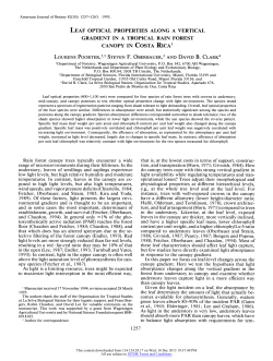 Leaf Optical Properties Along a Vertical Gradient in a Tropical Rain