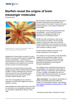 Starfish reveal the origins of brain messenger molecules