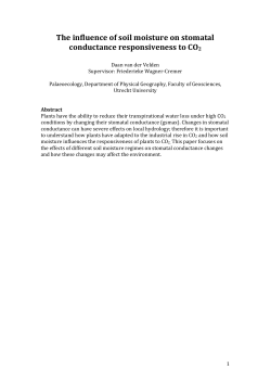 The influence of soil moisture on stomatal conductance