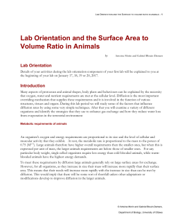 Lab Orientation and the Surface Area to Volume Ratio in