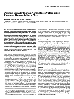 Pandinus imperator Scorpion Venom Blocks Voltage