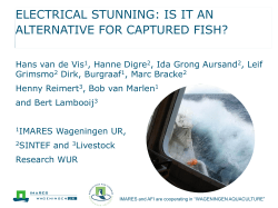 electrical stunning: is it an alternative for captured fish?