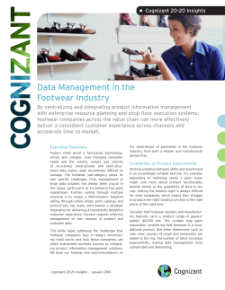 Data Management in the Footwear Industry