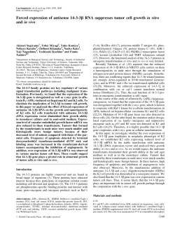 Forced expression of antisense 14-3-3b RNA