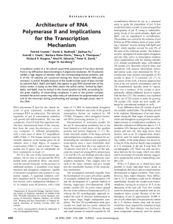 Architecture of RNA Polymerase II and Implications for the