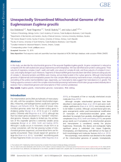 Unexpectedly Streamlined Mitochondrial Genome of the