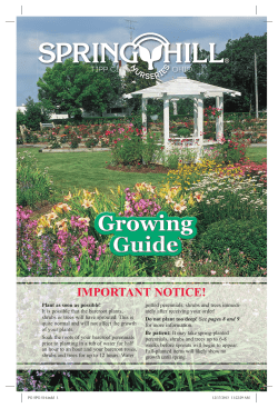 Here - Spring Hill Nursery