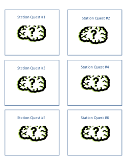 Brain Quest Sample