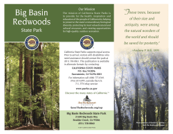 Big Basin Redwoods