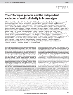 The Ectocarpus genome and the independent evolution of
