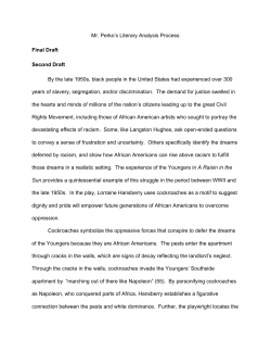 Final draft of Mr. Perko`s essay