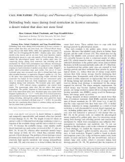 Defending body mass during food restriction in Acomys russatus: a