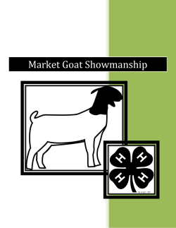 Market Goat Showmanship Guide