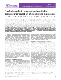NusA-dependent transcription termination prevents misregulation of