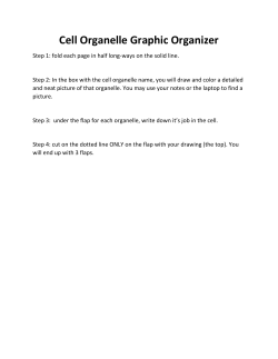 Cell Organelle Graphic Organizer