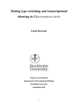 Mating type switching and transcriptional silencing in