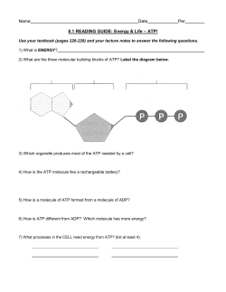 handout: 8.1 reading guide