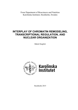 INTERPLAY OF CHROMATIN REMODELING, TRANSCRIPTIONAL