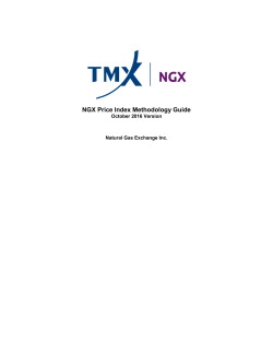 NGX Price Index Methodology Guide