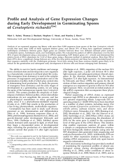 Profile and Analysis of Gene Expression