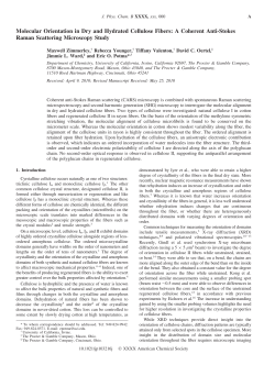 Molecular Orientation in Dry and Hydrated Cellulose Fibers: A