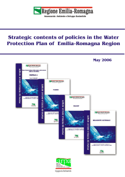 Strategic contents of policies in the Water Protection Plan of