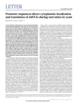 Promoter sequences direct cytoplasmic localization and translation