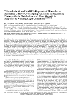Thioredoxin f1 and NADPH-Dependent Thioredoxin