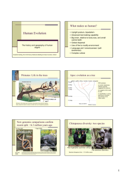 Human Evolution DTC