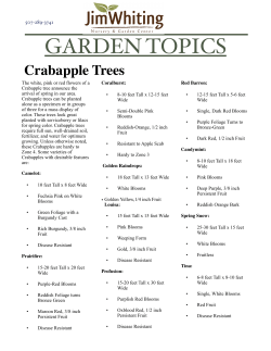 Crabapple Trees - Jim Whiting Nursery