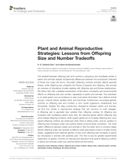 Plant and Animal Reproductive Strategies: Lessons from Offspring