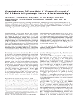 Characterization of G-Protein-Gated K Channels Composed of Kir3