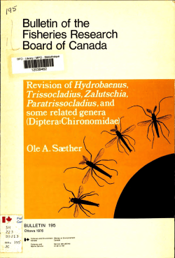 Diptera Chironomidae - P&ecirc;ches et Oc&eacute;ans Canada