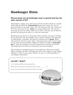 Hamburger Hints